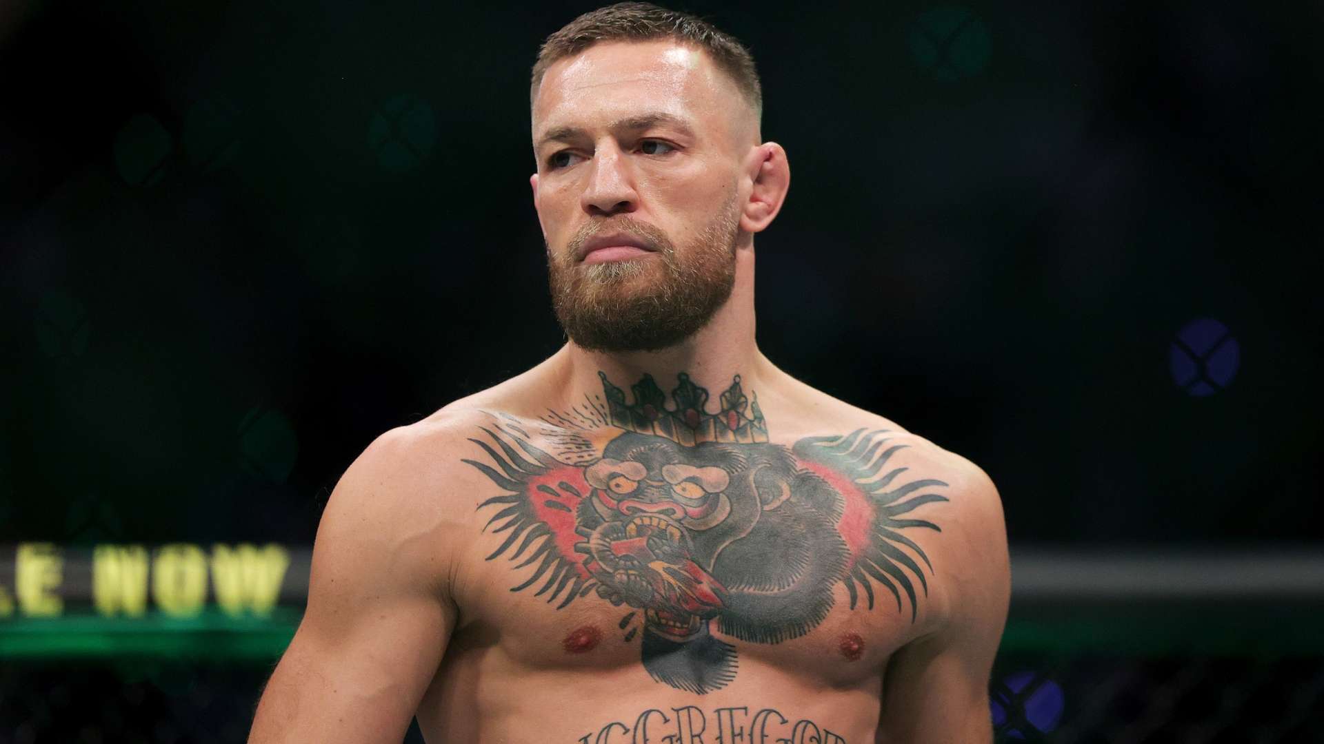 領袖作用始 領袖作用始