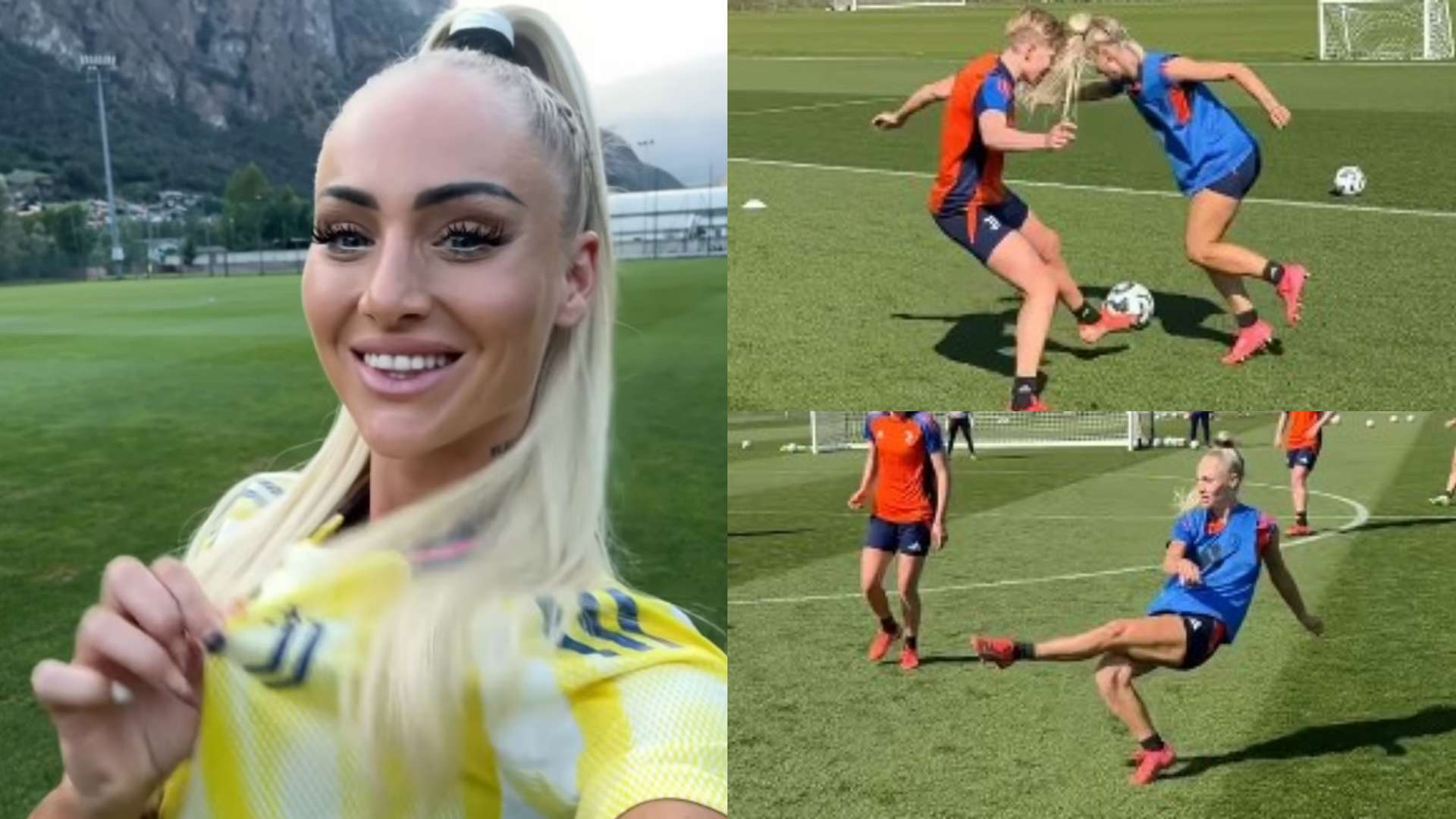 部近年来的 部近年来的